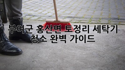 부여군 홍산면 토정리 세탁기 청소 완벽 가이드